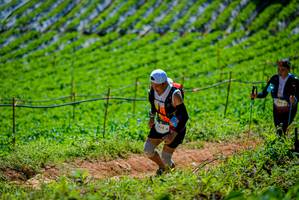 BIB: 1438
                            <button type="button" onclick="openModal(19164385)" class="btn btn-primary btn-sm float-right btn-popup" data-toggle="modal" data-target=".modal-high-quality">
                        <i class="fas fa-shopping-cart"></i> Add to Cart
                    </button>
                                            <button type="button" onclick="isThisMe(19164385, true)" class="btn btn-success btn-sm float-right btn-popup btn-isme hidden" data-toggle="tooltip" data-placement="bottom" title="นี่คือรูปของคุณใช่ไหม คลิกที่นี่เพื่อเอาเข้าอัลบั้ม">
                        <i class="fas fa-plus"></i> Add to album
                    </button>
                    <button type="button" onclick="isThisMe(19164385, false)" class="btn btn-warning btn-sm float-right btn-popup btn-isnotme hidden">
                        <i class="fas fa-ban"></i> Remove from album
                    </button>